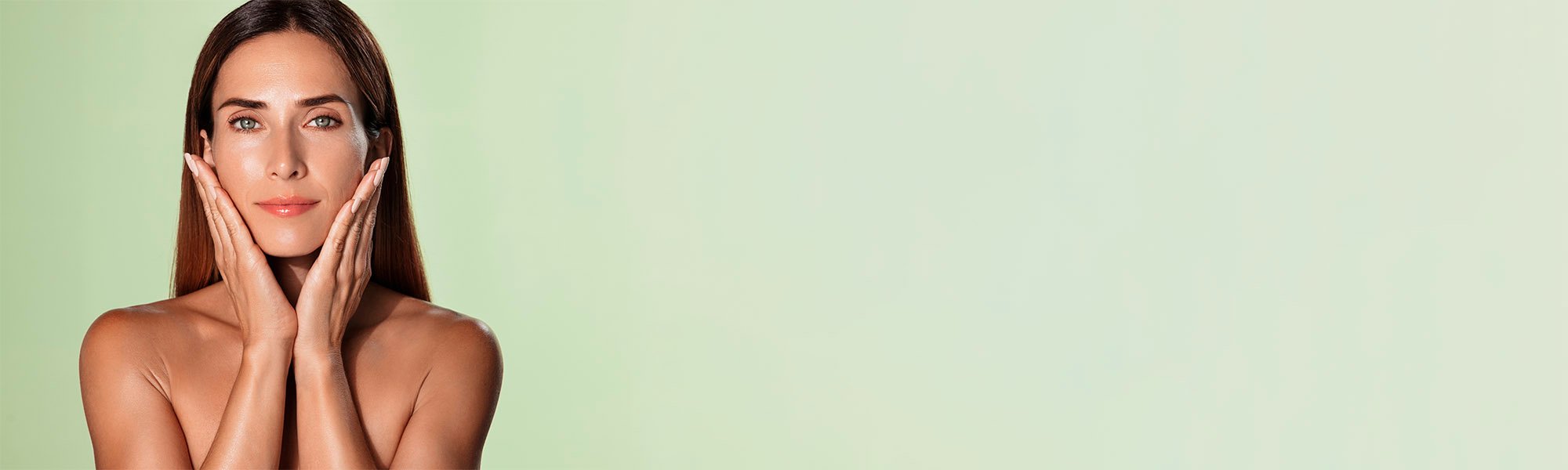 Banner Shutterstock 2156613401