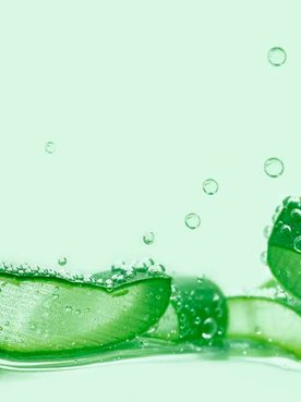 Aloe Vera Banner Shutterstock 2108033243