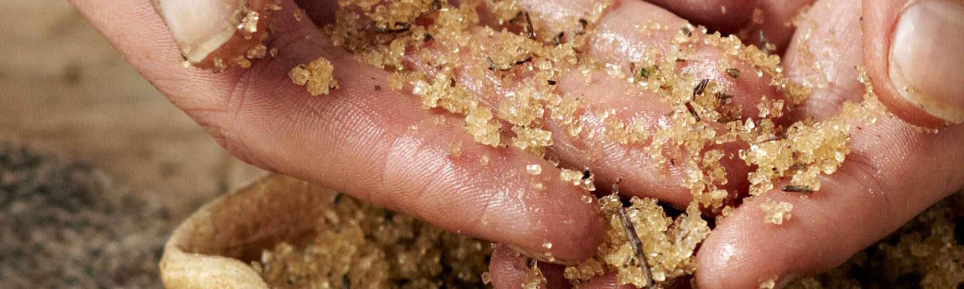 Res Body Scrubs Decoded Hero