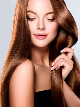 Banner Shutterstock 758805691