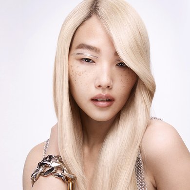Vignettes Article Damaged Hair