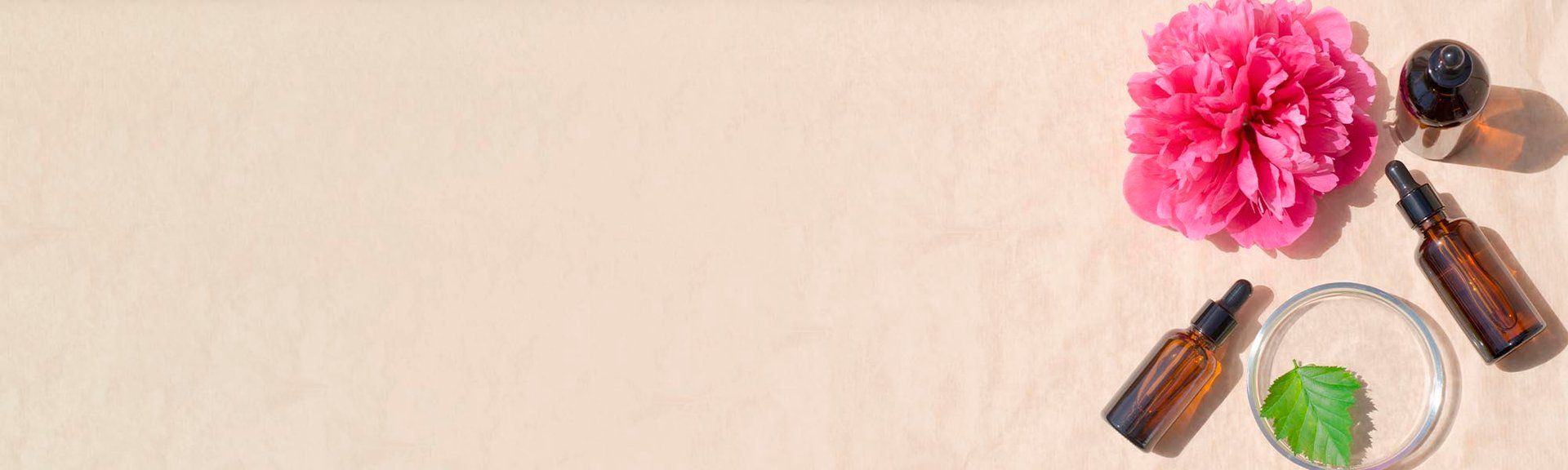 экстракт пиона