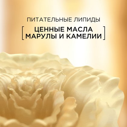 3600524087760 11
