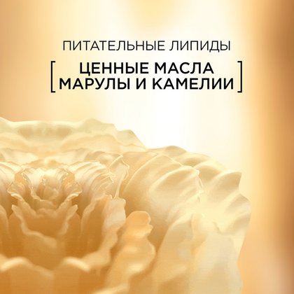 3600523231171 6