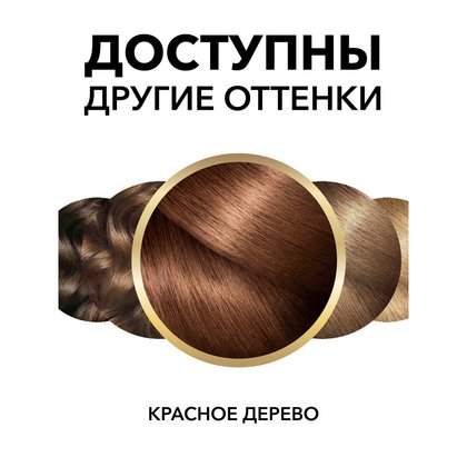 3600523337538 10